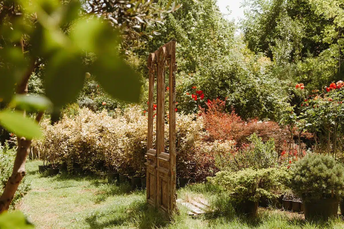 jardin boisé