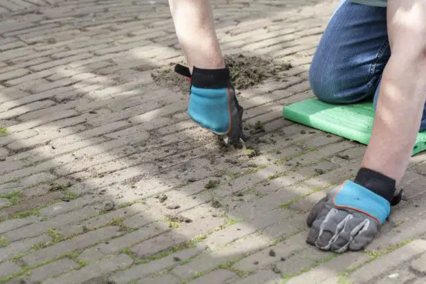 enlever de la mousse sur du bitume naturellement