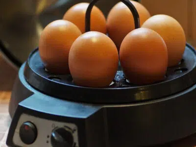 Quels sont les avantages du robot coupe ?